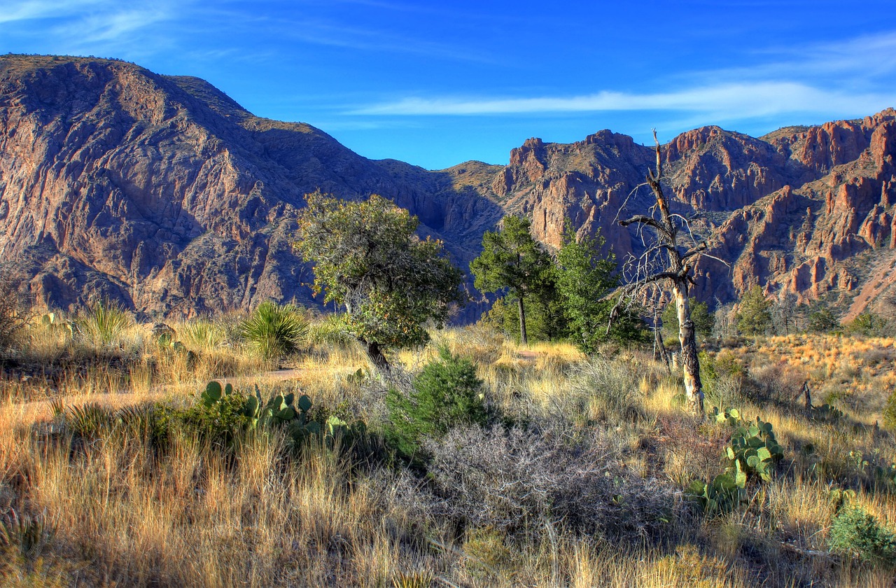 Featured image for “Here are 16 of the most scenic drives across Texas”