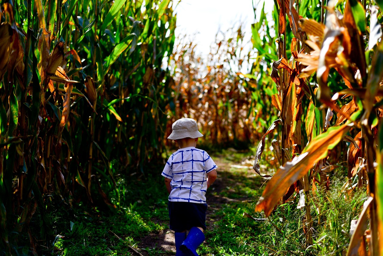 Featured image for “Plan a perfect fall day at Froberg’s Farm in Alvin with pumpkins, a corn maze and family fun”